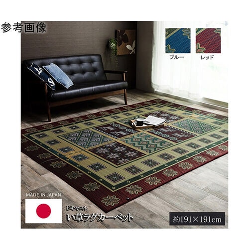 純国産 い草ラグカーペット 格子柄 『F