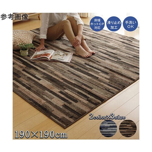 ラグ カーペット 2畳 抗菌 防臭 防ダ