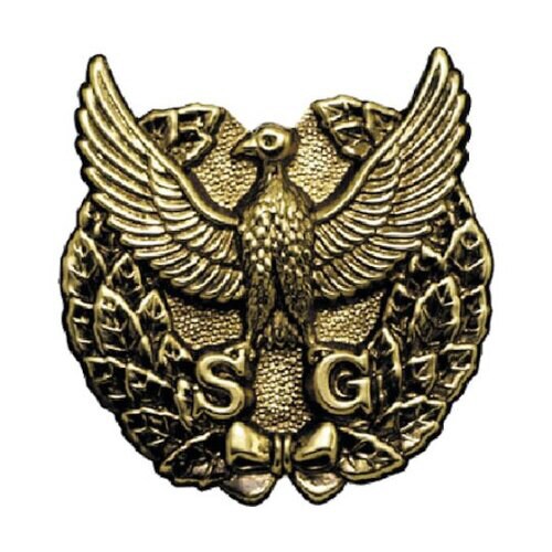帽章月桂樹+ワシ