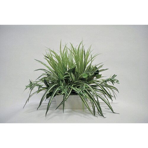 人工植物 ALGM−001