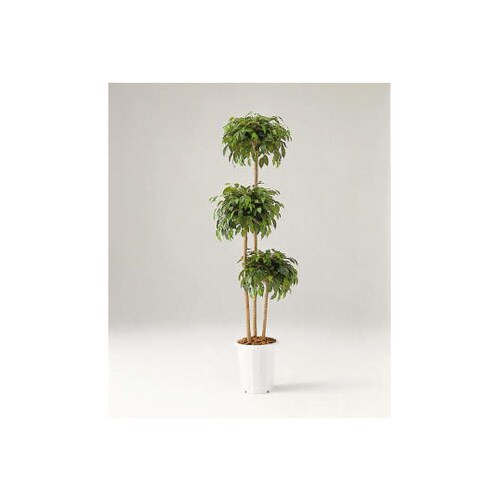 人工植物 GB−224