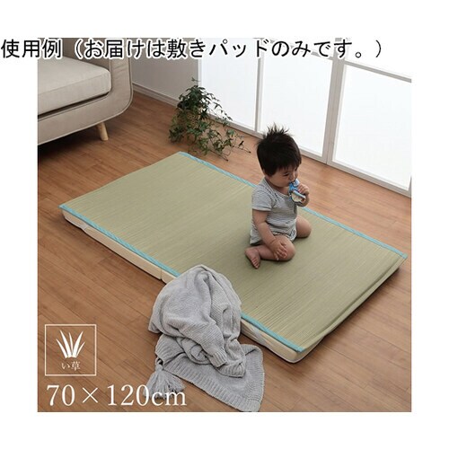 い草 敷きパッド ベビー用 四隅バンド付