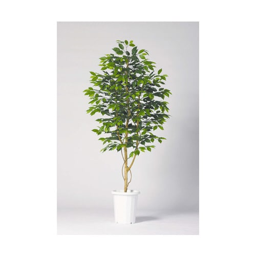 人工植物H1800 GB−241