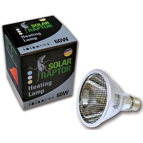 ソーラーラプター ヒーティングランプ