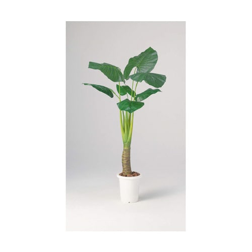 人工植物 AS−KI15