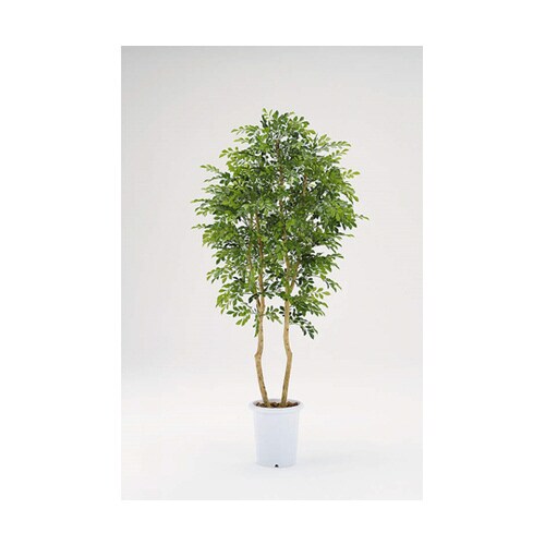 シルクジャスミン H1500