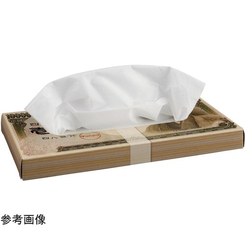 壱億円BOXティッシュ 100個入