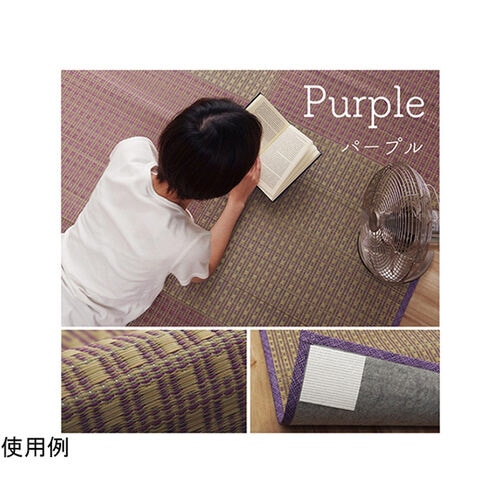 ラグ い草 コンパクト ベーシック 吸着