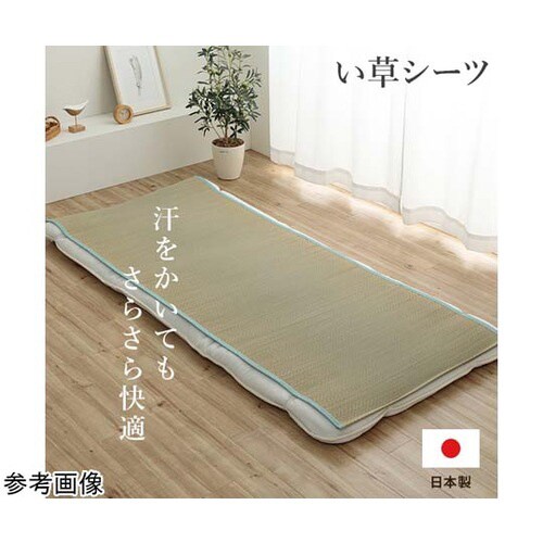 い草シーツ ブルー らダブル 約130×200cm