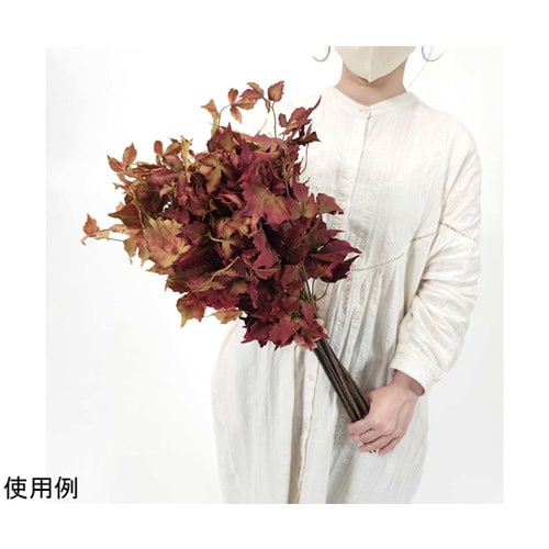 カラードグレープリーフ造花スプレー 59