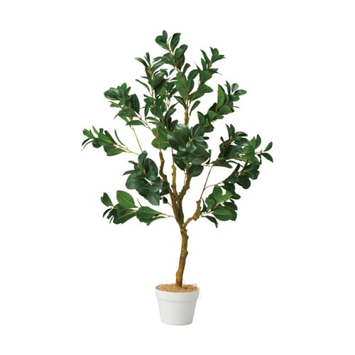 ペペロミア(フェイクグリーン 人工樹木)115cm