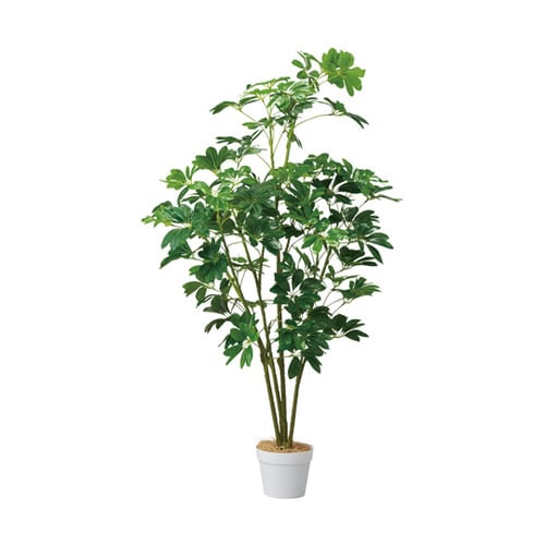 シェフレラ(フェイクグリーン 人工樹木)135cm