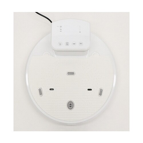 全身イオンドライヤー