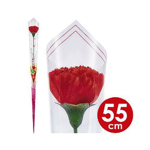 カーネーションかすみイラストラップ(大)