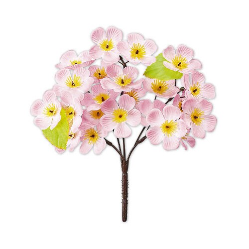 ニュー桜ブッシュ