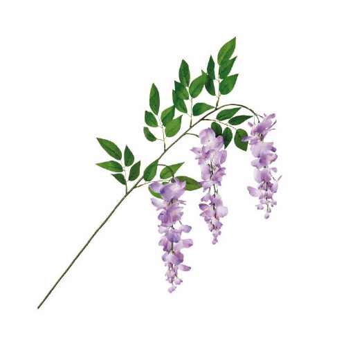 藤スプレー(3輪)ラベンダー