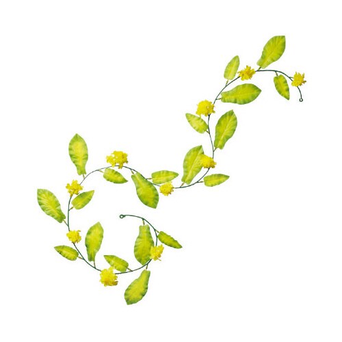 菜の花ローコストガーランド