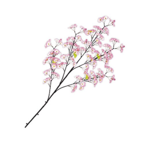 桜スプレー大(5本枝)