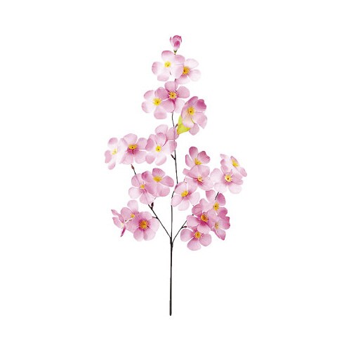 ニュー大桜スプレー