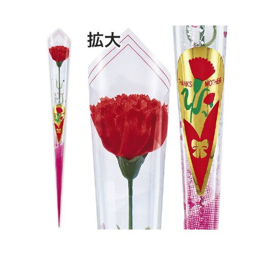 カーネーションかすみイラストラップ(中)