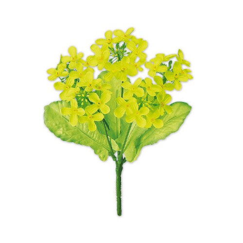 ニュー菜の花ブッシュ