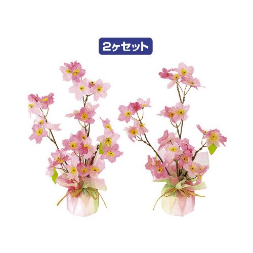 桜ペアラッピング