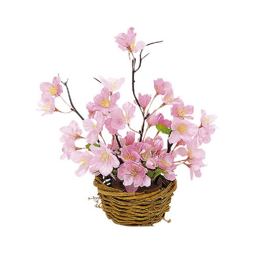 山桜アレンジバスケット