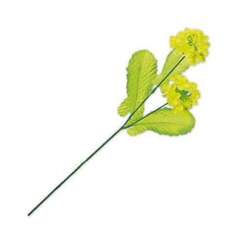 ニュー菜の花スプレー