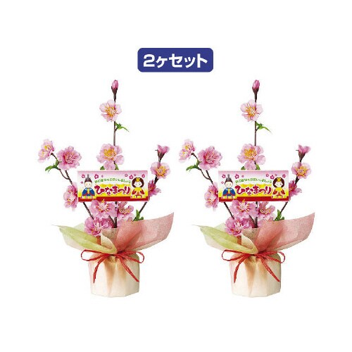 ひなまつりラッピングセット