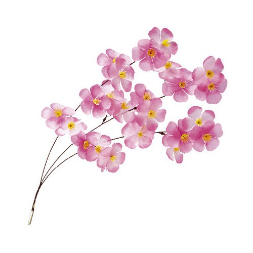 ミニ大桜シダレ(クリップタイプ)