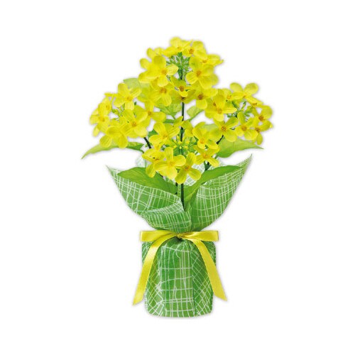 菜の花バリューラッピングポット