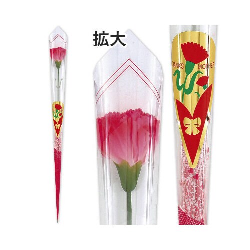 ピンクカーネーションかすみラップ(中)