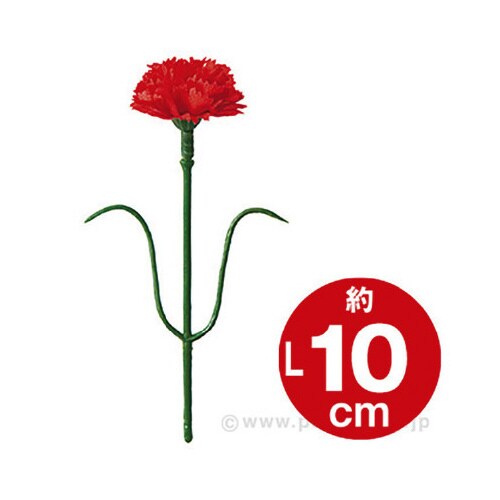 ミニカーネーション