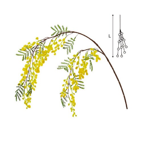 ミモザハンギング