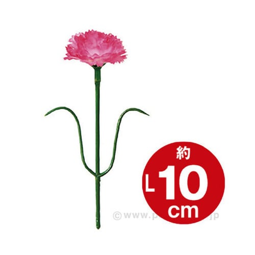 ミニピンクカーネーション