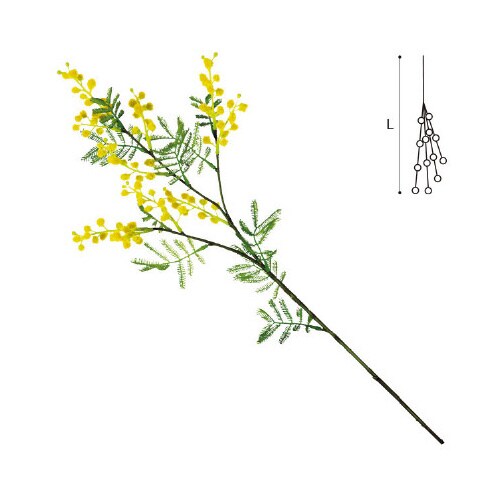 ミモザスプレー