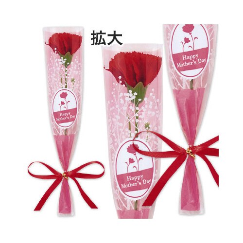 カーネーションかすみリボンラップ(小)