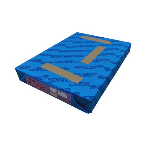 クリーンカラー 一般色 薄口500枚 A4りんどう