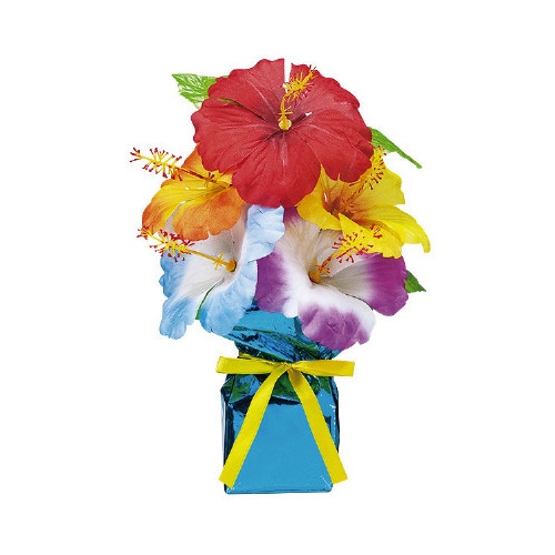 ハイビスカスニューローコストポット4個