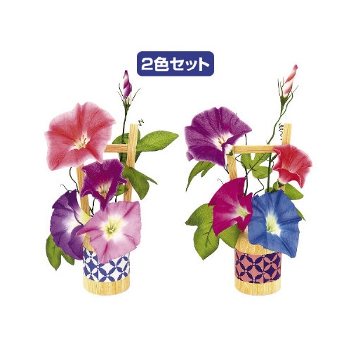 清涼朝顔スタンドセット(2個1セット)