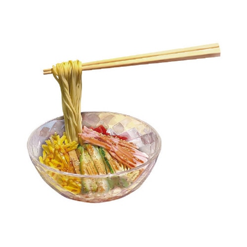 食品サンプル 冷やし中華