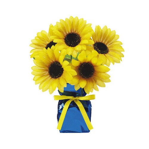 ひまわりニューローコストポット4個