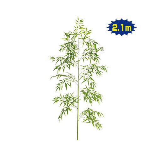 210cmバンブーツリー