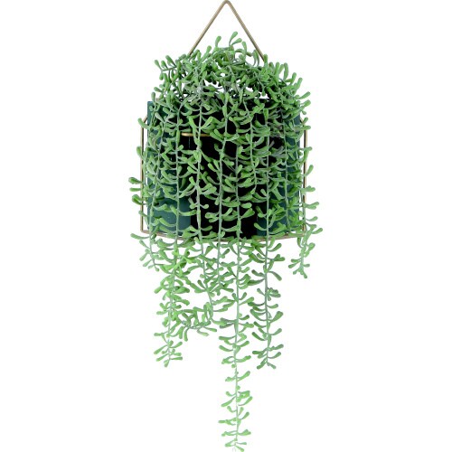フェイクグリーン ミカヅキネックレス ハンギング