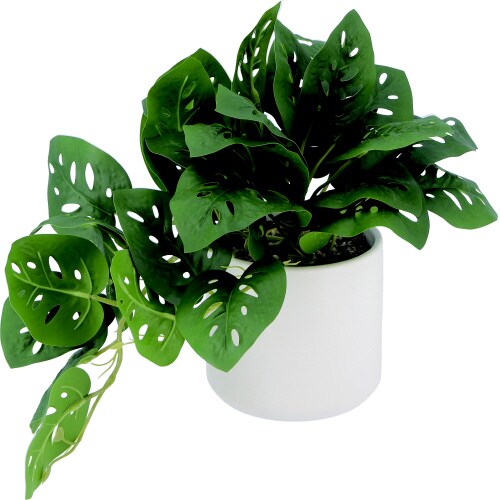 フェイクグリーン モンステラ セラミックポット