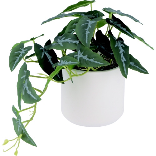 フェイクグリーン アロカシア セラミックポット