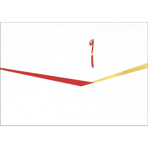 新のし紙 みの判 5冊入