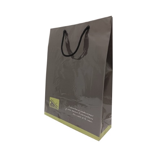 ビニール付き手提げ紙袋 中NO.20 50枚