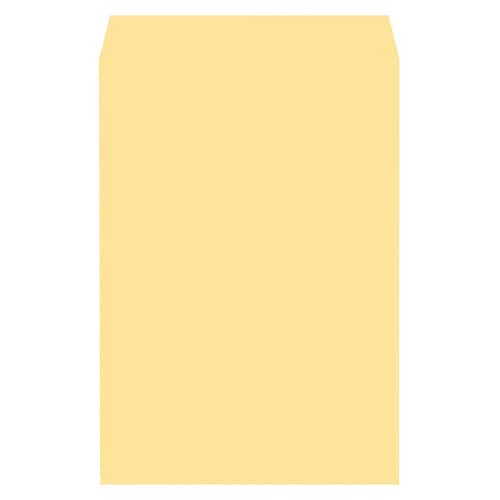 角2NTオレンジ100サイド(500枚)