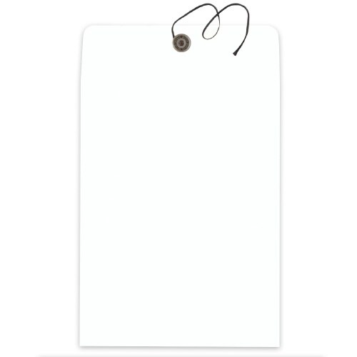 角2保存袋ホワイト(120)(100枚)